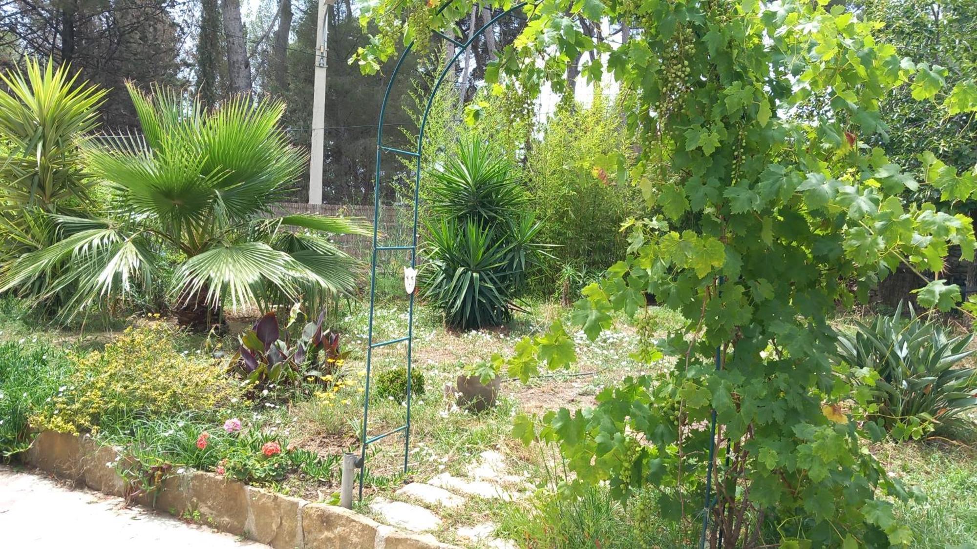 Villa Magali Grande Terrasse Vue Mer, Jardin, Proche Port La Ciotat Exterior foto