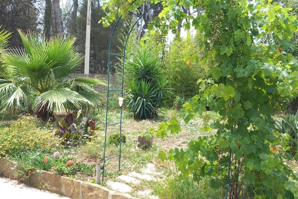 Villa Magali Grande Terrasse Vue Mer, Jardin, Proche Port La Ciotat Exterior foto