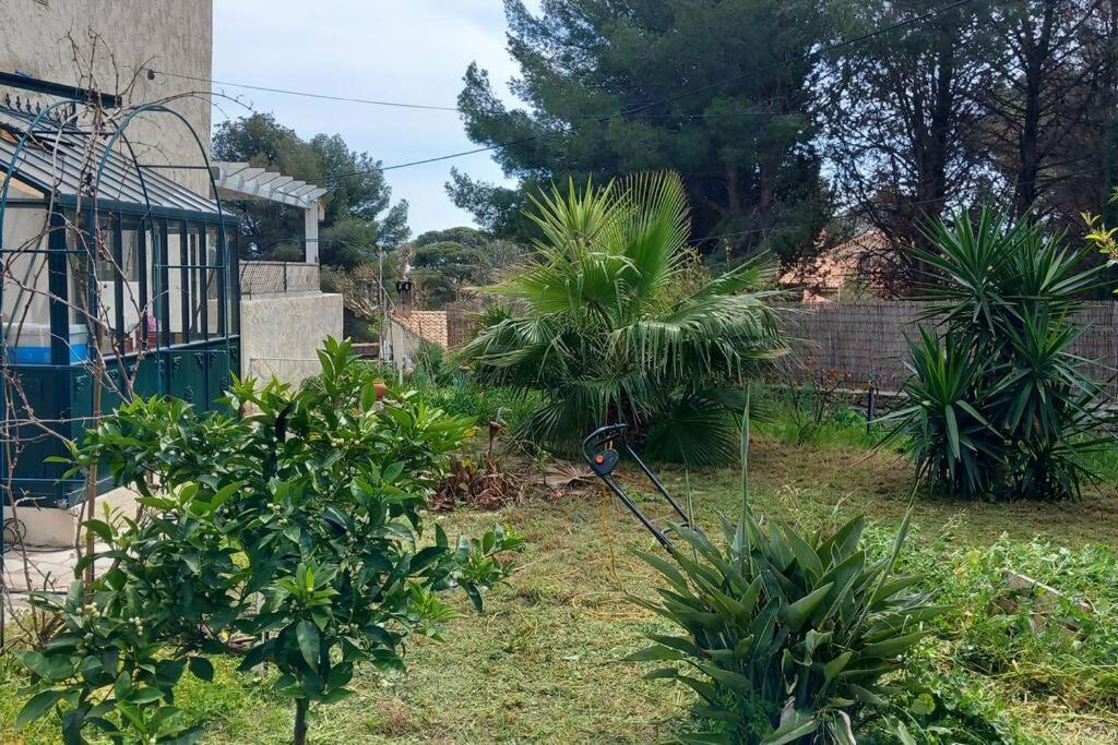 Villa Magali Grande Terrasse Vue Mer, Jardin, Proche Port La Ciotat Exterior foto